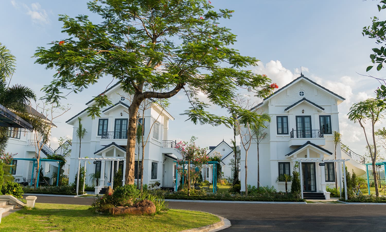Thanh Liên 40