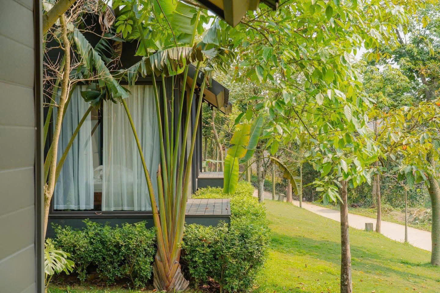 Mơ House 2 phòng ngủ